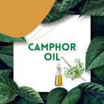 https://tipharm.org/wp-content/uploads/2022/08/Camphor-oil29F-150x150.jpg