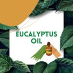 https://tipharm.org/wp-content/uploads/2022/08/Eucalyptus-oil32F-150x150.jpg